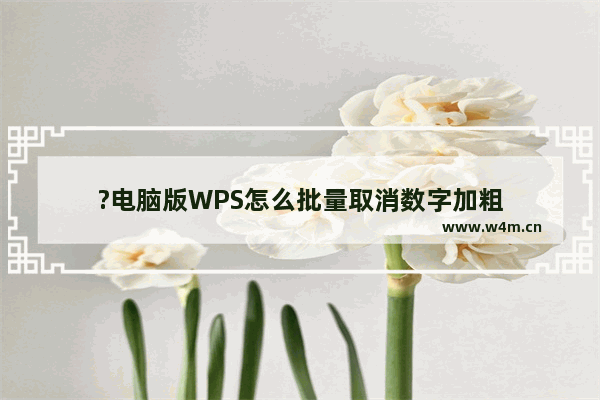 ?电脑版WPS怎么批量取消数字加粗