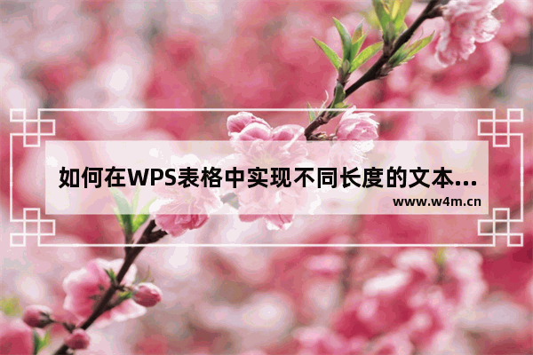 如何在WPS表格中实现不同长度的文本对齐