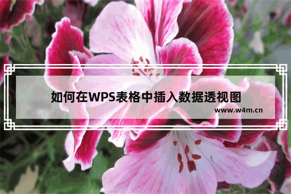 如何在WPS表格中插入数据透视图