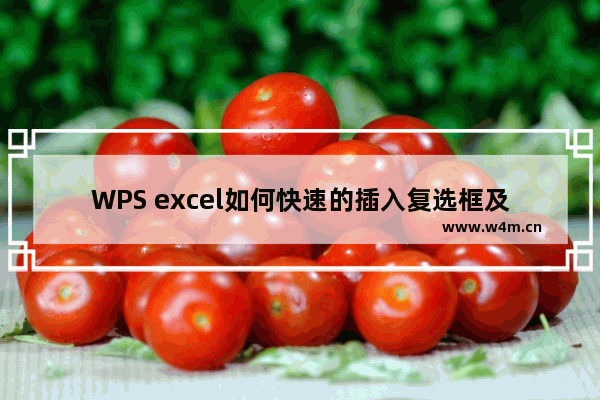 WPS excel如何快速的插入复选框及其内容