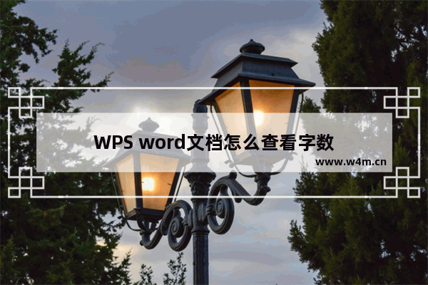 WPS word文档怎么查看字数