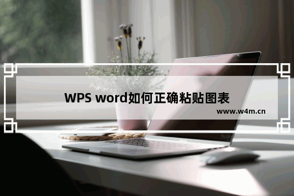 WPS word如何正确粘贴图表