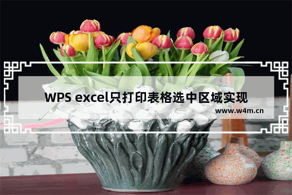 WPS excel只打印表格选中区域实现教程