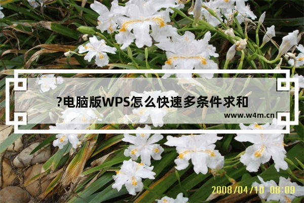 ?电脑版WPS怎么快速多条件求和