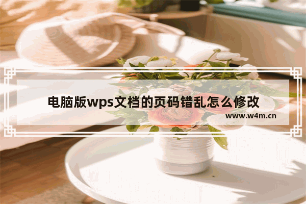 电脑版wps文档的页码错乱怎么修改