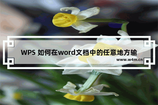 WPS 如何在word文档中的任意地方输入文字