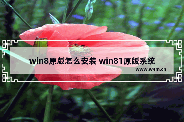 win8原版怎么安装 win81原版系统安装教程