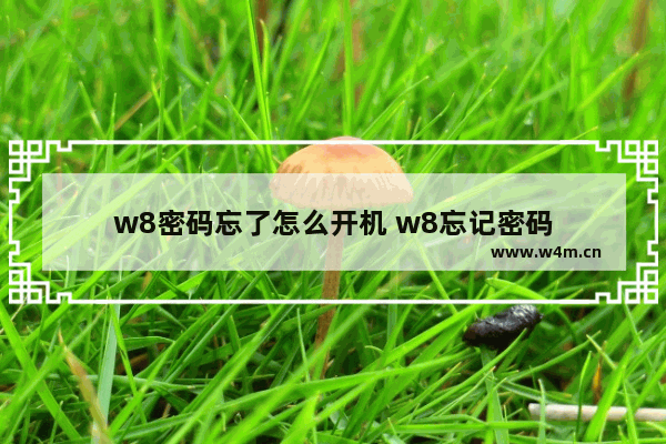 w8密码忘了怎么开机 w8忘记密码