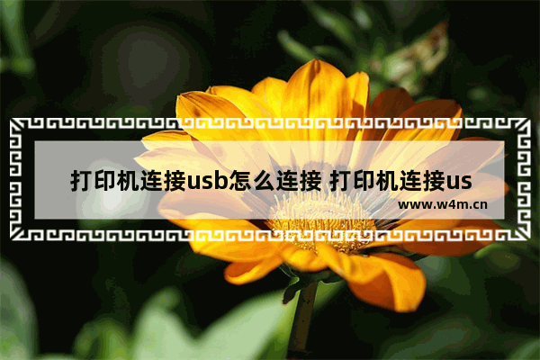 打印机连接usb怎么连接 打印机连接usb怎么连接电脑