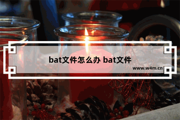 bat文件怎么办 bat文件