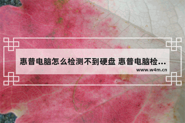 惠普电脑怎么检测不到硬盘 惠普电脑检测不到硬盘怎么回事