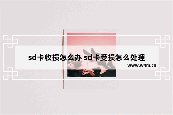 sd卡收损怎么办 sd卡受损怎么处理