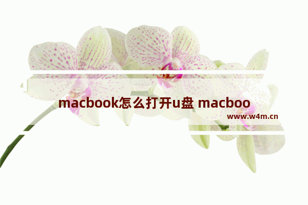 macbook怎么打开u盘 macbook怎样打开u盘