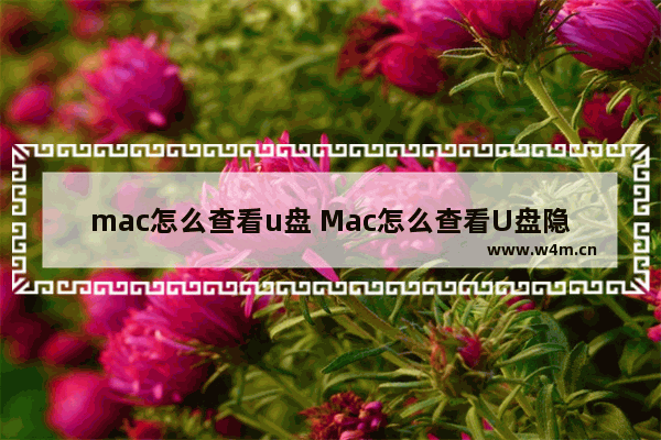 mac怎么查看u盘 Mac怎么查看U盘隐藏文件夹