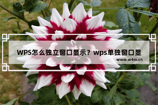 WPS怎么独立窗口显示？wps单独窗口显示怎么操作？