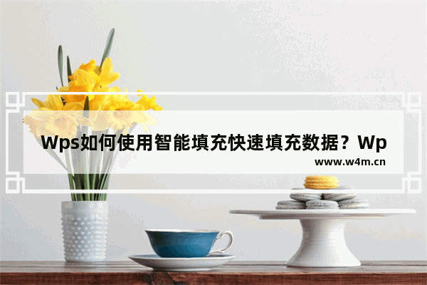 Wps如何使用智能填充快速填充数据？Wps快速填充数据的方法