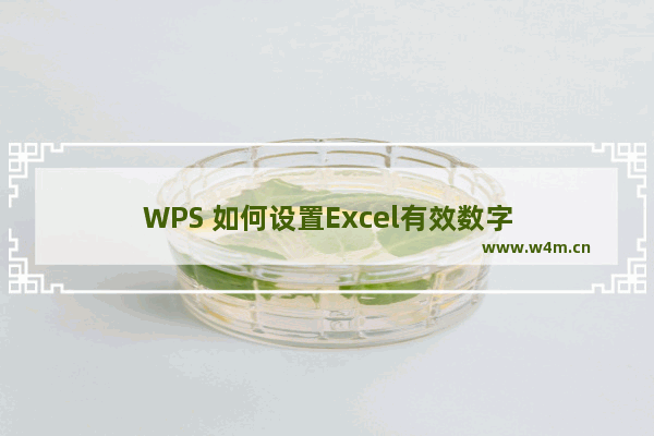 WPS 如何设置Excel有效数字