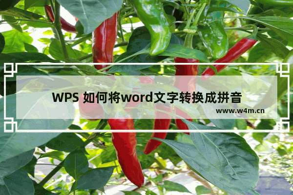 WPS 如何将word文字转换成拼音