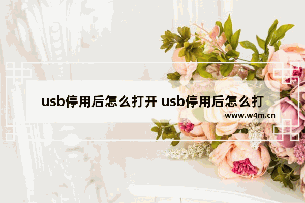 usb停用后怎么打开 usb停用后怎么打开网络连接