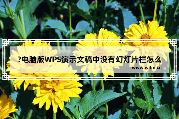 ?电脑版WPS演示文稿中没有幻灯片栏怎么办