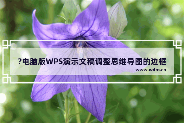 ?电脑版WPS演示文稿调整思维导图的边框类型