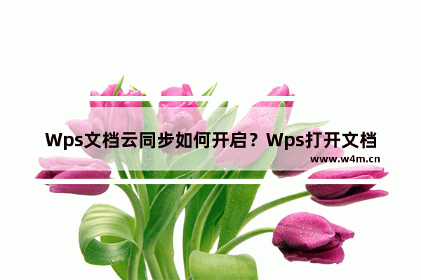 Wps文档云同步如何开启？Wps打开文档云同步的方法