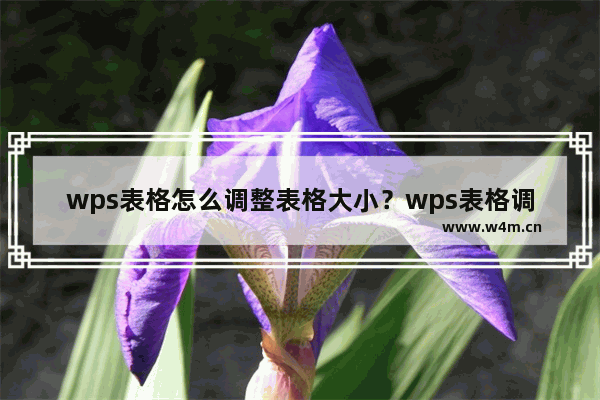 wps表格怎么调整表格大小？wps表格调整表格大小的方法