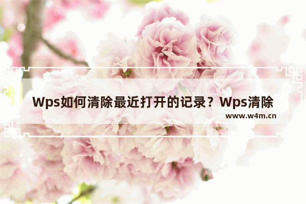 Wps如何清除最近打开的记录？Wps清除本地记录的方法