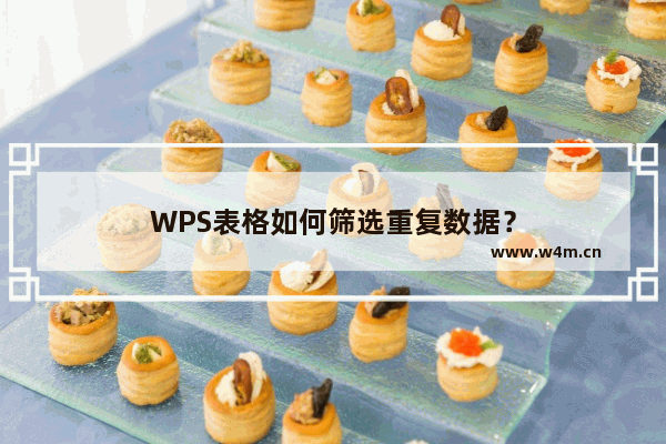 WPS表格如何筛选重复数据？