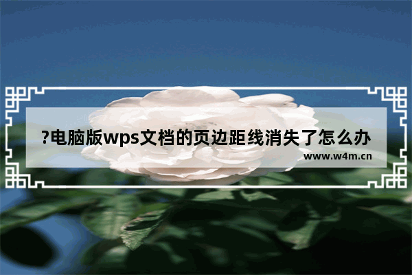 ?电脑版wps文档的页边距线消失了怎么办