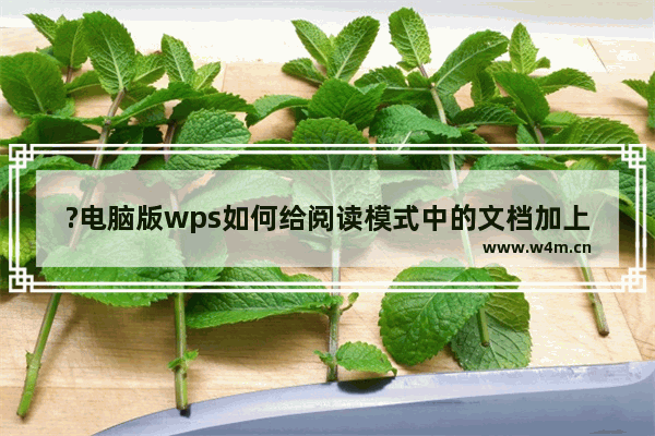 ?电脑版wps如何给阅读模式中的文档加上批注