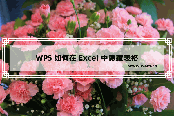 WPS 如何在 Excel 中隐藏表格