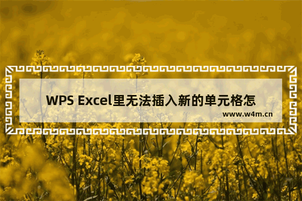 WPS Excel里无法插入新的单元格怎么办