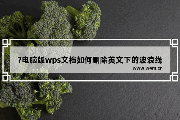 ?电脑版wps文档如何删除英文下的波浪线