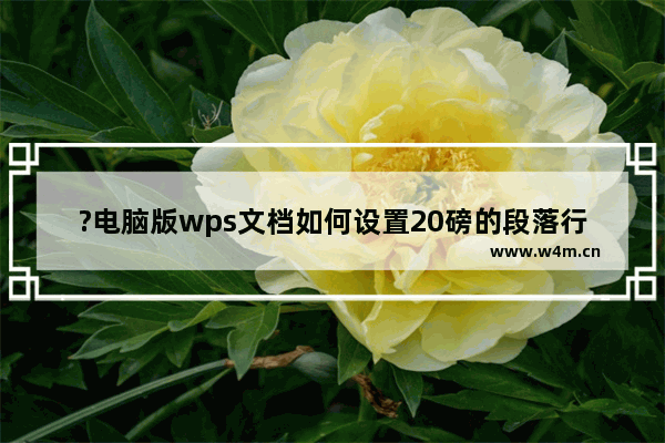 ?电脑版wps文档如何设置20磅的段落行距