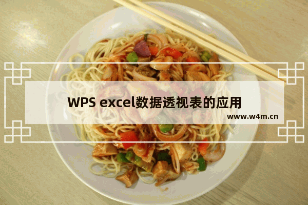 WPS excel数据透视表的应用