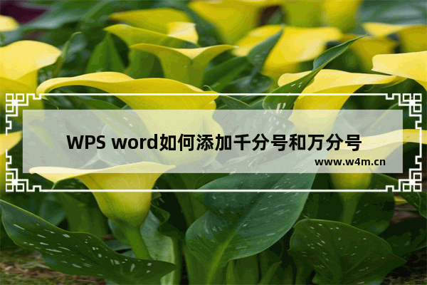 WPS word如何添加千分号和万分号