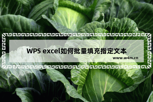 WPS excel如何批量填充指定文本