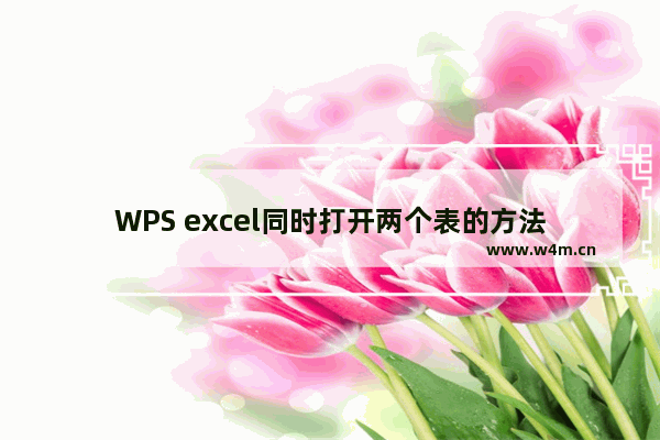 WPS excel同时打开两个表的方法