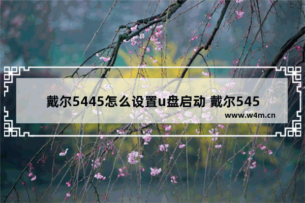 戴尔5445怎么设置u盘启动 戴尔5459设置u盘启动