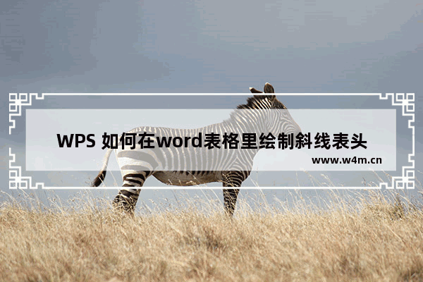 WPS 如何在word表格里绘制斜线表头