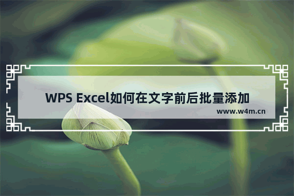 WPS Excel如何在文字前后批量添加内容