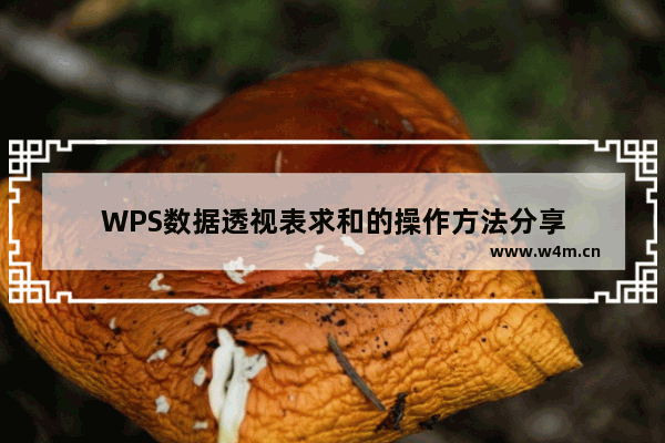 WPS数据透视表求和的操作方法分享