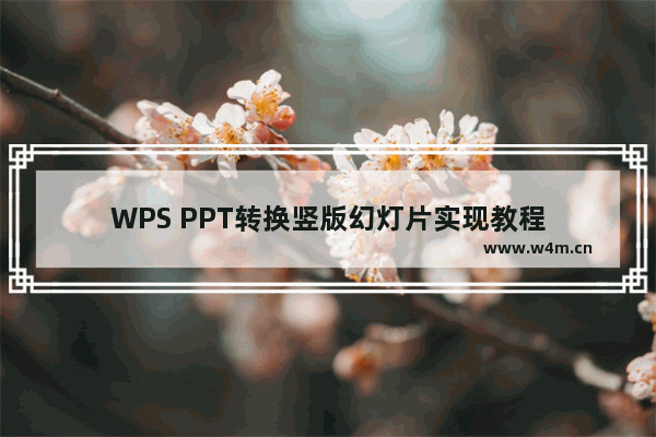 WPS PPT转换竖版幻灯片实现教程