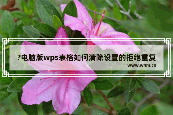 ?电脑版wps表格如何清除设置的拒绝重复录入功能