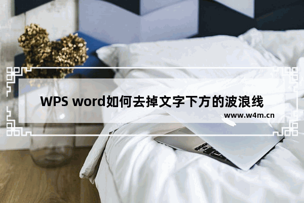 WPS word如何去掉文字下方的波浪线