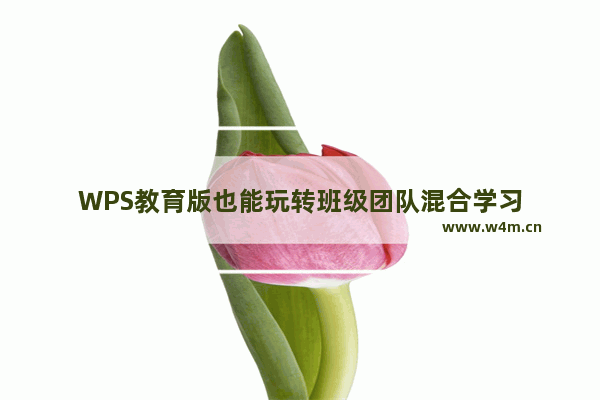 WPS教育版也能玩转班级团队混合学习