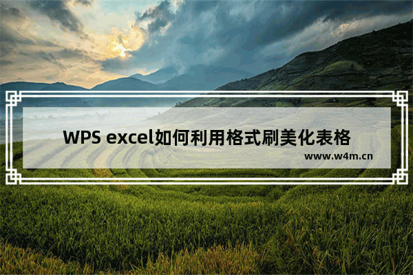 WPS excel如何利用格式刷美化表格