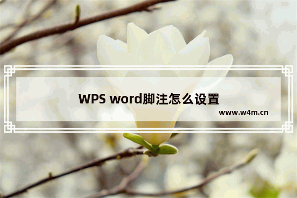 WPS word脚注怎么设置