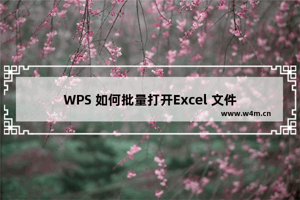 WPS 如何批量打开Excel 文件